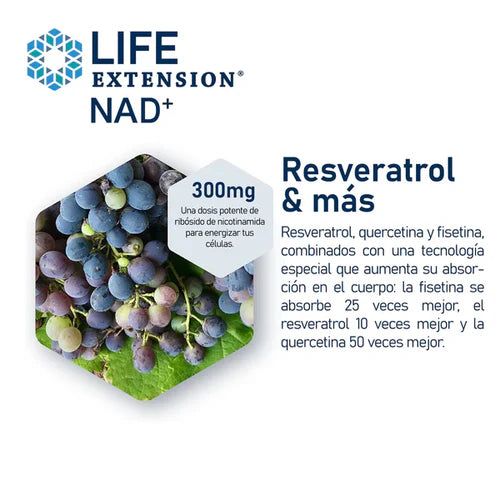 LIFE EXTENSION NAD+